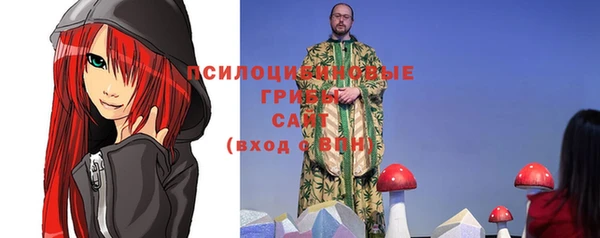 круглые Абаза